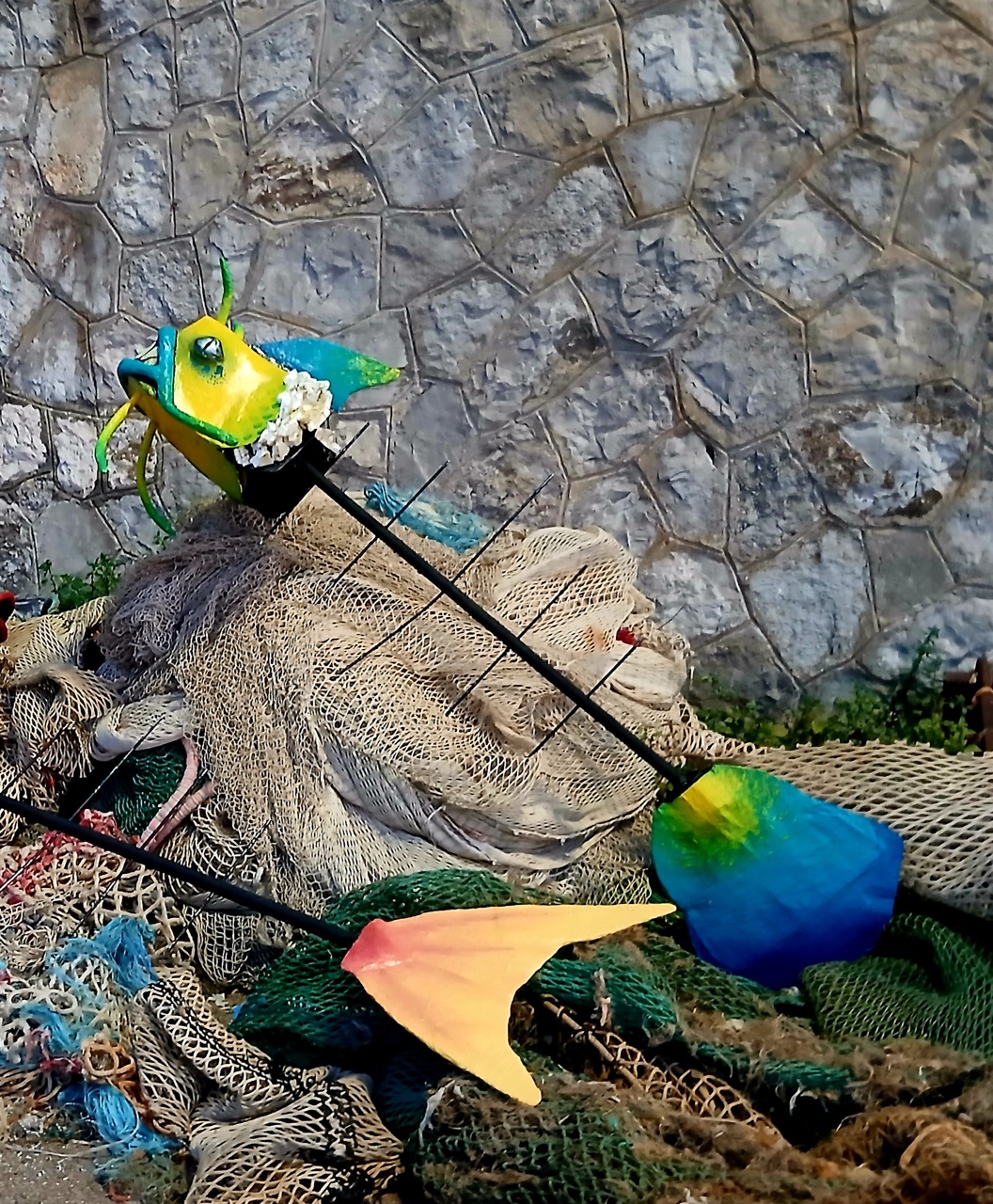 Dead fish