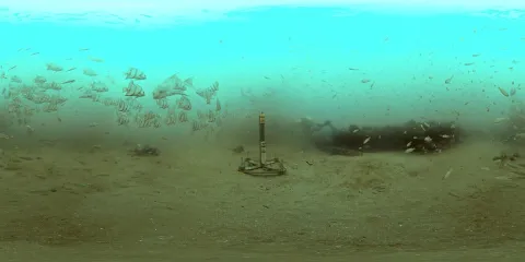 Hydrophone