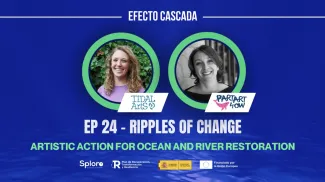 Ripples of change